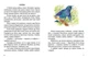Малятам про звірят. Борзова В.В. (9789669352453) - зображення 2