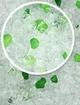 Наполнитель для котов cиликагелевый AnimAll Emerald Green 10.5Л упаковка 4ШТ - изображение 2