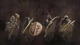 Ключ активации Dragon's Dogma 2 для Xbox Series S/X - изображение 12
