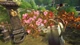 Ключ активации Garden Life: A Cozy Simulator для Xbox One/Series S/X - изображение 2