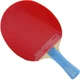 Набір DHS Ma Long GOLD SLAM - зображення 2