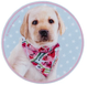 Бейдж на липучці Kite Studio Pets Блакитний (SP24-3011-2) - зображення 2