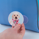 Бейдж на липучці Kite Studio Pets Блакитний (SP24-3011-2) - зображення 4