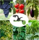Степлер садовый для подвязки растений My Garden Pro (292-1) - изображение 6