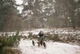Біговел Wishbone RE2 3 в 1 чорний (9421032322563) - зображення 7