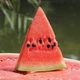 Семена Арбуз Маракеш F1 10сем Ergon Seeds - изображение 3