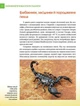 Найнебезпечніші істоти планети. Гапченко Андрій - зображення 4