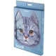 Підставка для книжок Kite Cat "Котик" металева блакитна (K24-390-3) - зображення 4