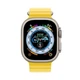 Силиконовый рифлёный ремешок Ocean для Apple Watch 42/44/45/49 mm Желтый - изображение 2