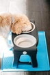 Миска двойная для животных Dexas Adjustable 2хPet Feeder со стали с регулируемыми ножками 960 мл (PW120432SS) - изображение 7