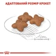 Сухий корм для собак Royal Canin Mini Adult дрібних порід старше 10 місяців 800 г (3182550793124) (94374) (3001008) - изображение 2