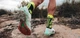 Высокотехнологические беговые безшовные носки Compressport Pro Racing Socks V4.0 Trail, Black/Safe Yellow/Neo Pink, T4 (45-48) - изображение 3