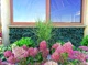 Искусственная зеленая изгородь, маскировочная сетка из искусственного плюща 50 х 50 см. Bass Polska BH 85975 - изображение 8