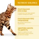 Сухой корм для взрослых кошек с Курицей, 400 г (200+200 г) OPTIMEAL ОПТИМИЛ - изображение 4