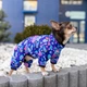 Одяг Collar Waudog Clothes Дощовик "Рік та Морті 1" для собак XS25 (z5325-0280) - зображення 2
