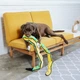 Іграшки Outward Hound Непереможна Змія Іграшка-пискавка для собак зелений (oh32005) - зображення 2