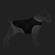 Одяг Collar WAUDOG Clothes Курточка-накидка "Рік і Морті 1" для собак XS (z502-0280) - зображення 4