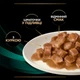 Лечебный корм Purina Pro Plan Veterinary Diets Veterinary Diets EN Gastrointestinal Кусочки в подливке с курицей для кошек 85 г (8445290093561) - изображение 8
