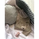 Пустышки Lovi Wild soul 3-6 месяца, розовая, симетричная форма, динамичная - изображение 3