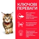 Сухой корм Hill's Science Plan Feline Kitten Chicken для котят, беременных и кормящих кошек с курицей 3 кг (арт 604049) - изображение 3