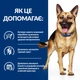 Hill’s PRESCRIPTION DIET Gastrointestinal Biome Вологий корм для собак при захворюваннях шлунково-кишкового тракту, консерва, 370 г - зображення 3