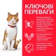 Сухой корм Hill's Science Plan Feline Young Sterilised Chicken для стерилизованных кошек с курицей 300 г (арт 607270) - изображение 3