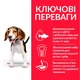 Сухой корм Hill's Puppy Medium Lamb для щенков средних пород ягненок 18 кг (арт 604273) - изображение 3