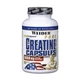 Креатин моногідрат Weider Pure Creatine Capsules 100 Caps - зображення 1