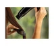 Фен Remington My Stylist Hairdryer D2000 - зображення 7