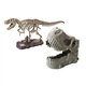 Конструктор Dino Valley Дино скелет Ти-Рекса (542409) (4893808424095) - изображение 2