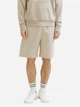 Шорты хлопковые короткие мужские Tom Tailor 1040931-11754 L Серые (4067672305754) - изображение 1