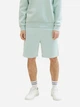 Шорты хлопковые короткие мужские Tom Tailor 1040931-17549 L Голубые (4067672318938) - изображение 1