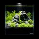 Акваріум Aqualighter набір DAQUARIUM Pico Set 170 мм 5 л (7141) - зображення 4