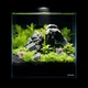 Акваріум Aqualighter набір DAQUARIUM Pico Set 170 мм 5 л (7141) - зображення 5