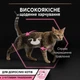 Влажный корм для кошек Purina Pro Plan Delicate Digestion кусочки в соусе с океанической рыбой 85 г (8445290660923) - изображение 5