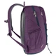 Рюкзак Deuter Gogo 25 л Plum (1052-3813221 5334) - изображение 4