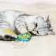 Игрушка для кошек Barksi с колокольчиком Попугай (3339) (2007033059737) - изображение 5