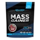 Гейнер Willmax Mass Gainer (2 кг, лісова ягода) - зображення 1