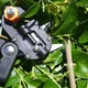 Секатор для прививки Прививочный нож профессиональный Professional Grafting Tool, Садовые ножницы для прививки - изображение 4