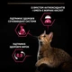 Сухий корм Purina Pro Plan Sterilised Duck with Liver для котів стерилізованих з качкою та печінкою 400 г (арт 2006310000479) - зображення 6