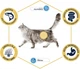Сухий корм Advance Cat Sensitive Salmon для котів з чутливим травленням з лососем 3 кг (арт 922073) - зображення 3