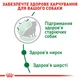 Сухой корм Royal Canin Mini Ageing +12 для собак мелких пород старше 12 лет 800 г (арт 10070080) - изображение 4