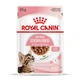 Влажный корм Royal Canin Kitten Sterilised Gravy для стерилизованных котят 85 г (арт 1071001) - изображение 1