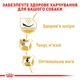 Сухой корм Royal Canin Pug Adult для собак породы Мопс 1.5 кг (арт 3985015) - изображение 4