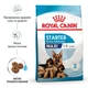 Сухой корм Royal Canin Maxi Starter для щенков крупных пород 4 кг (арт 29940400) - изображение 4