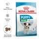 Сухой корм Royal Canin Mini Puppy для щенков мелких пород 8 кг (арт 30000801) - изображение 5
