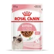 Влажный корм Royal Canin Kitten Gravy для котят 85 г (арт 4058001) - изображение 1