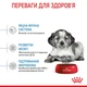 Сухой корм Royal Canin Medium Puppy для щенков средних пород 4 кг (арт 30030400) - изображение 4