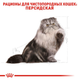 Сухий корм Royal Canin Persian Adult для дорослих котів породи Перська 2 кг (арт 2552020) - зображення 2