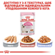 Влажный корм Royal Canin Kitten Loaf для котят 85 г (арт 41450011) - изображение 5